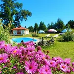 Arriendo De Cabanas Con Piscina Y Entorno Natural, Villarrica