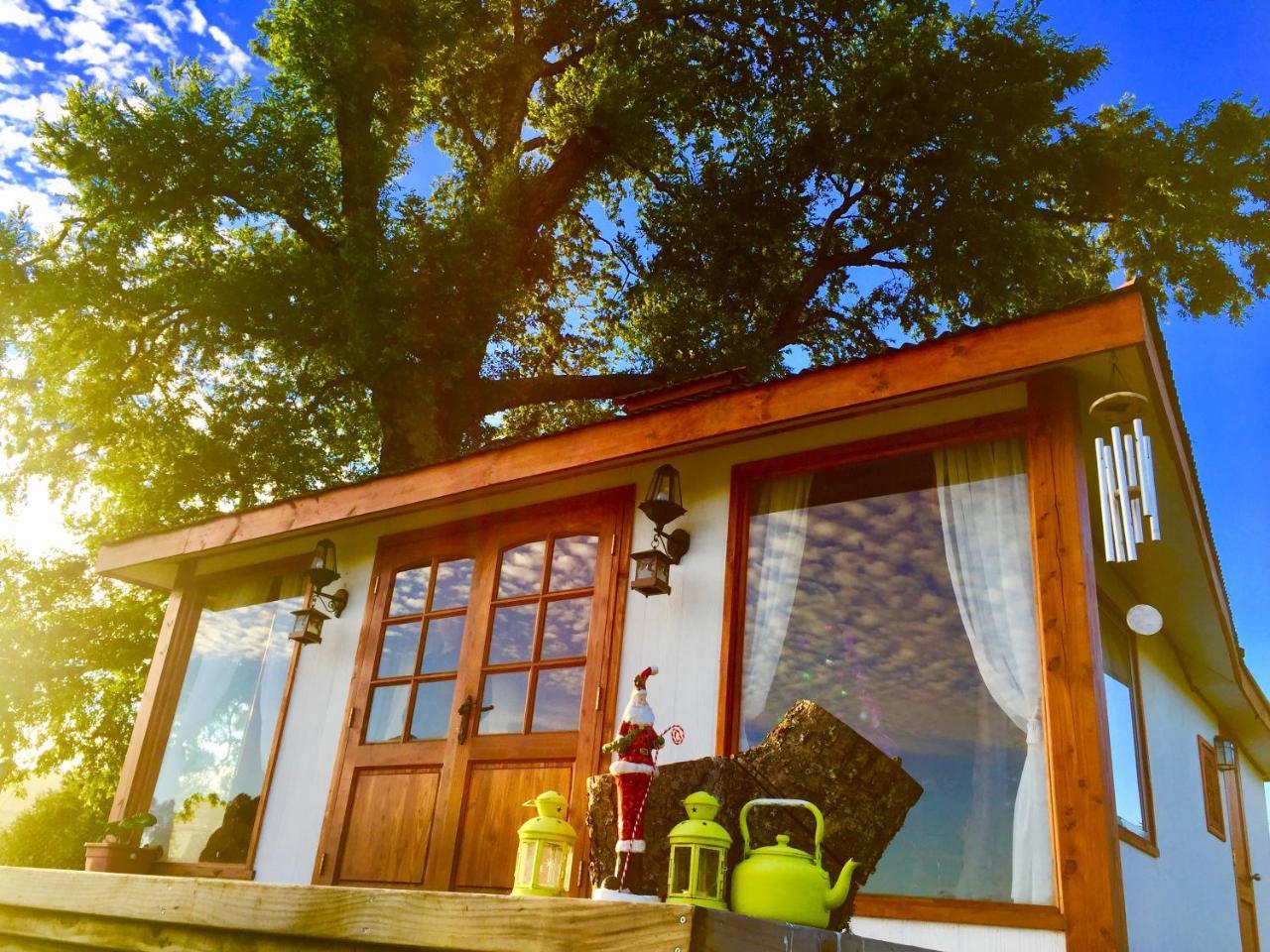 Arriendo De Con Piscina Y Entorno Natural, * Villarrica