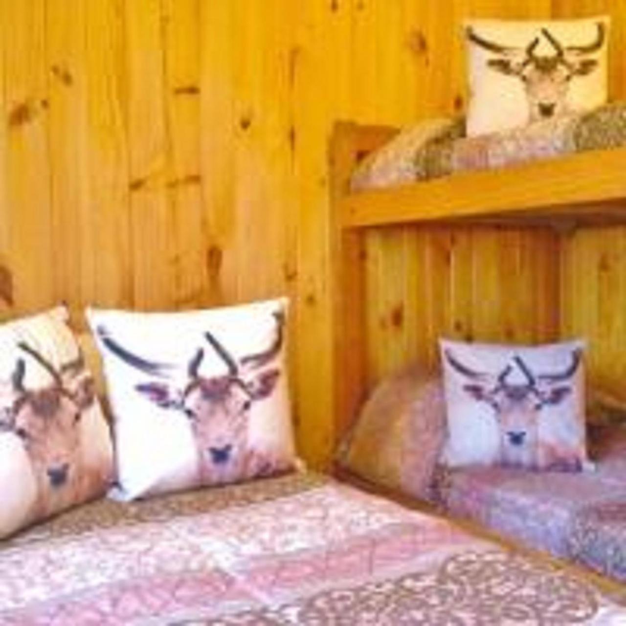 Arriendo De Con Piscina Y Entorno Natural, *